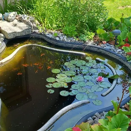Landgut Pinnow Apartment