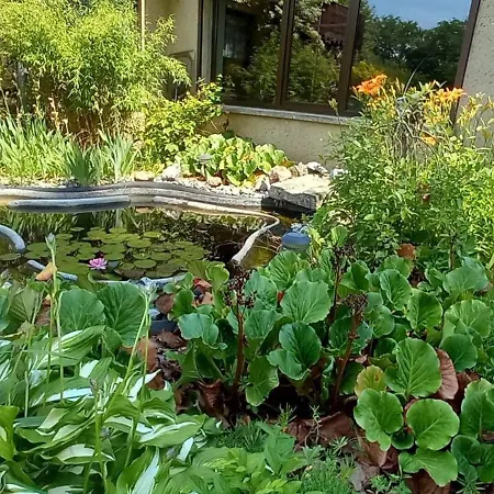 Landgut Pinnow Apartment Murchin